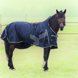 Horse Blanket (SCIO)